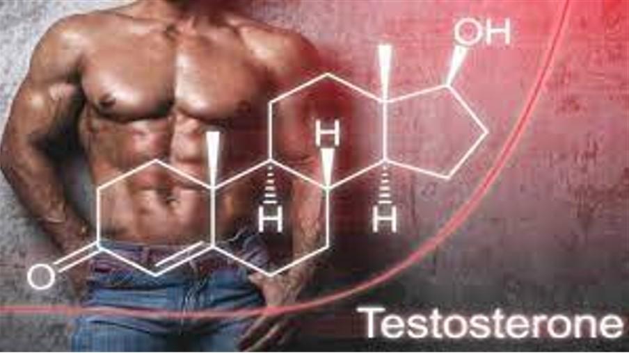 Which Type of testosterone booster is best for me?