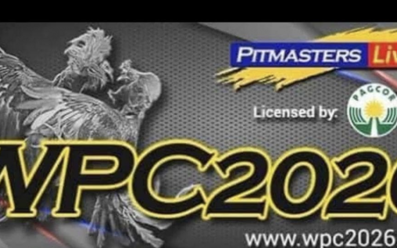 how to login to Wpc2026 Live