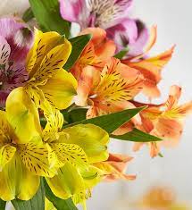 The Common Types of Flowers Used in Bouquets