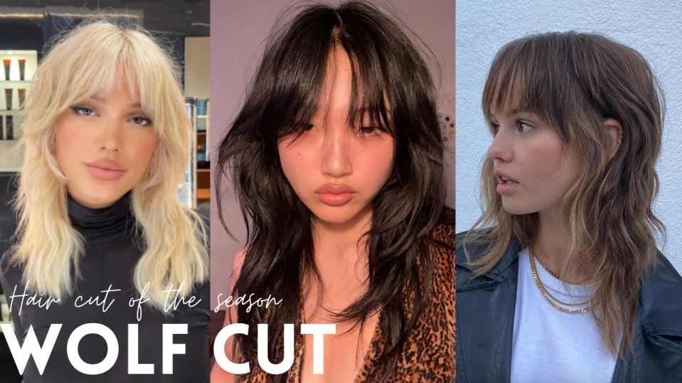 Wolf Haircut Ideas : Give Yourself A New Expensive Look